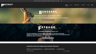 Thumbnail of pestbang.com