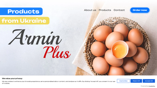Thumbnail of arminplusltd.net