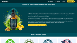 Thumbnail of usa-audiefort.com