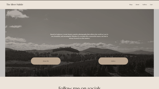 Thumbnail of thesilverhalide.com
