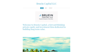 Thumbnail of brueincapital.com