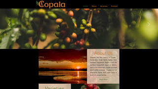 Thumbnail of copalacoffee.com