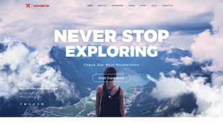 Thumbnail of voyanta.net