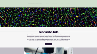 Thumbnail of ramstelab.com