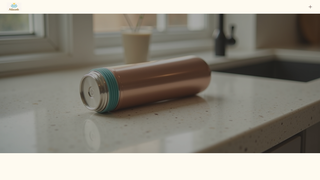 Thumbnail of nilasole.com