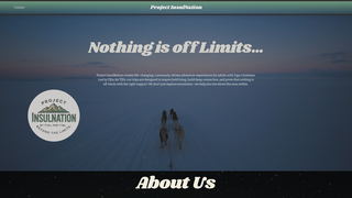 Screenshot of projectinsulnation.com