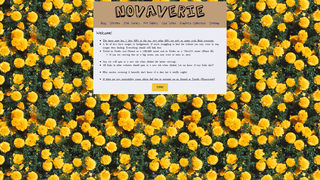 Thumbnail of novaverie.net