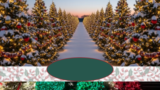 Thumbnail of rakknchristmas.com