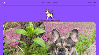 Thumbnail of flawlessfrenchies.org