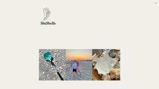 Thumbnail of sheshellsnc.com