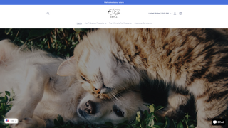 Thumbnail of eryli.com
