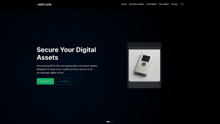Thumbnail of brylion.net