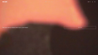 Thumbnail of vainsaint.com