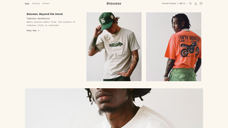 Thumbnail of brauwss.com