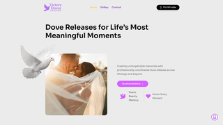 Thumbnail of victorydoveschicago.com