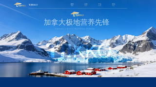 Thumbnail of tjikoo.com