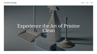 Thumbnail of terrasolclean.com