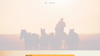 Thumbnail of cowboycarservice.com