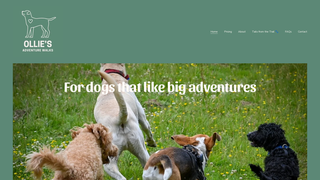 Thumbnail of olliesadventurewalks.com