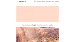 Thumbnail of saltcite.com
