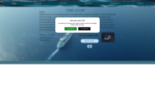 Thumbnail of theclubring.com