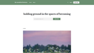 Thumbnail of themeadowbetween.com