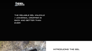 Thumbnail of eelknuckle.com