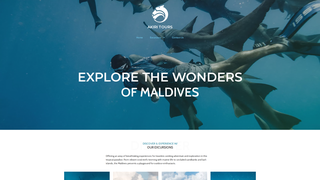 Thumbnail of akiritours.com