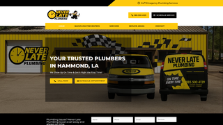 Thumbnail of neverlateplumbing.com