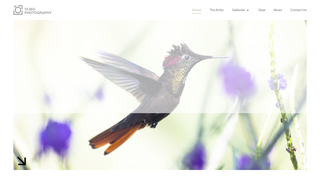 Thumbnail of vliegphotography.com