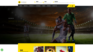 Thumbnail of nuxionsports.com