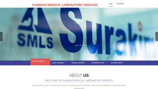 Thumbnail of surakimlab.com