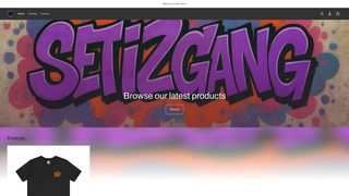 Thumbnail of setizgang.com