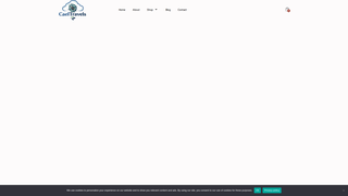 Thumbnail of caeltravels.com