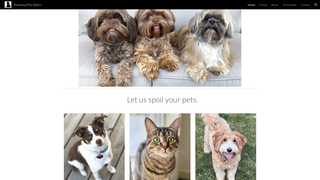 Thumbnail of kelownapetsitters.com