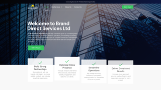 Thumbnail of branddirectservices.com