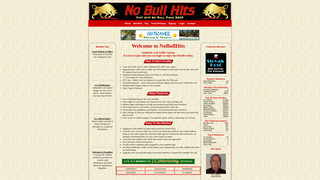 Thumbnail of nobullhits.com