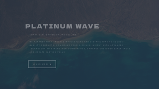 Thumbnail of platinumwavesupply.com
