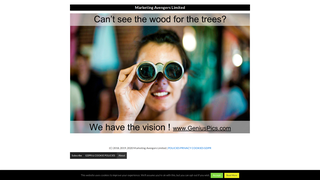 Thumbnail of marketingavengerslimited.com
