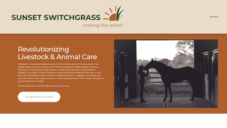 Thumbnail of sunsetswitchgrass.com
