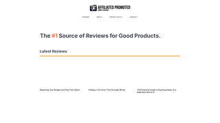 Thumbnail of affiliatedpromoted.com