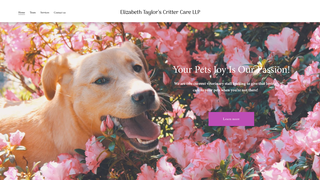 Thumbnail of elizabethtaylorscrittercarellp.com