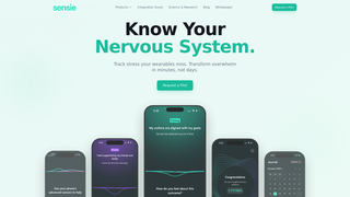 Screenshot of somaping.com