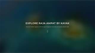 Thumbnail of gamkayaks.com