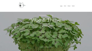 Thumbnail of vibeandthrivefarms.com