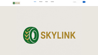 Thumbnail of skylinktire.com