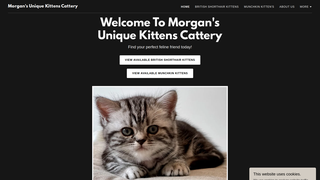 Thumbnail of morganuniquekittens.com