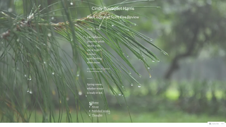 Thumbnail of rainpoet.com