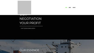Thumbnail of pervezcorporation.com