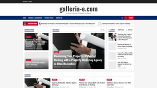 Thumbnail of galleria-e.com